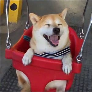 Meet your Posher, Gretchen